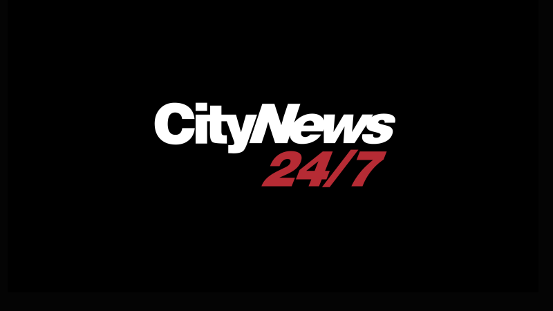 cityn ews